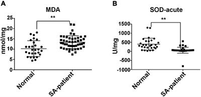 RNA Demethylase FTO Mediated RNA m6A Modification Is Involved in Maintaining Maternal-Fetal Interface in Spontaneous Abortion